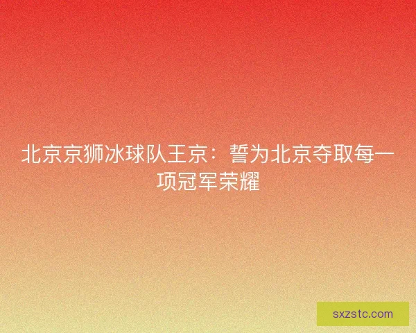 北京京狮冰球队王京：誓为北京夺取每一项冠军荣耀
